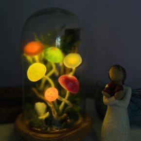 25FF8D95-9CF0-468F-A7FF-B4A8429FCD66