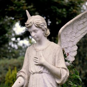 pexels-mario-wallner-9675478